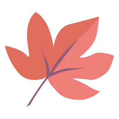 a red leaf on white background