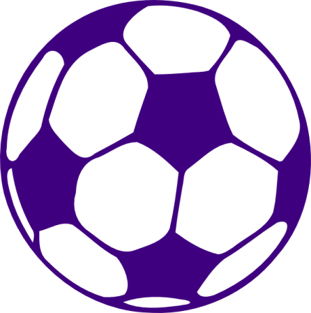 a purple and white soccer ball
