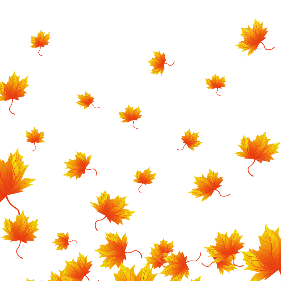 a bunch of autumn leaves on a white background