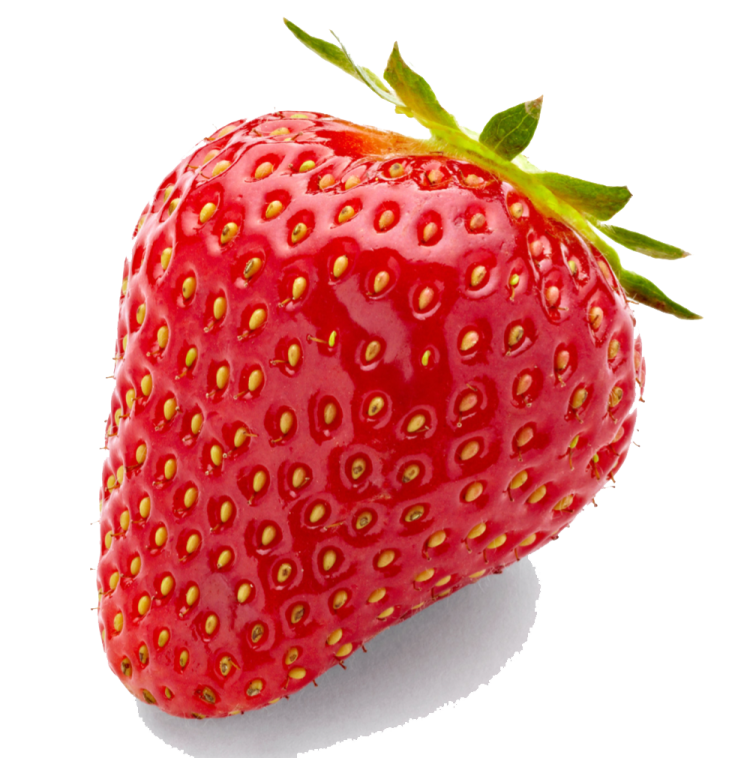 a strawberry on a white background