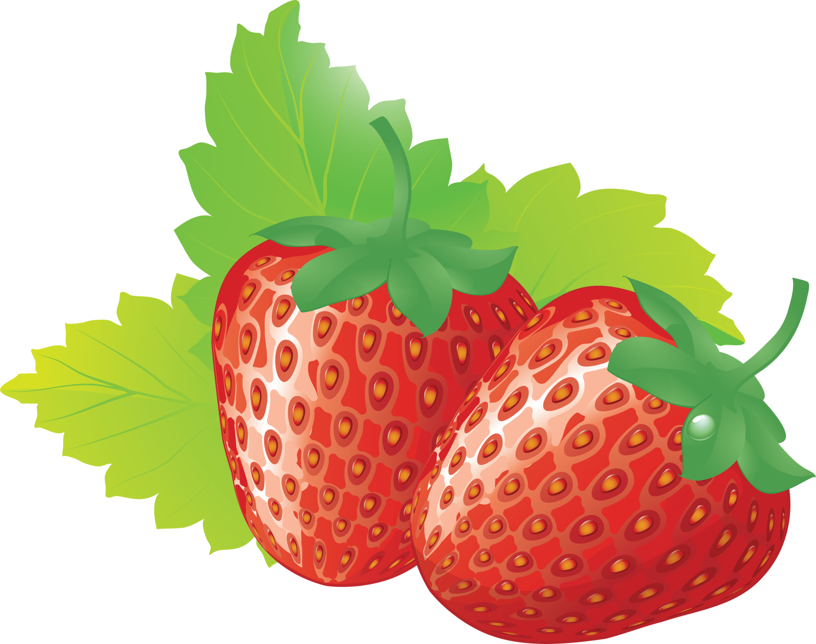 two strawberries with leaves on a white background