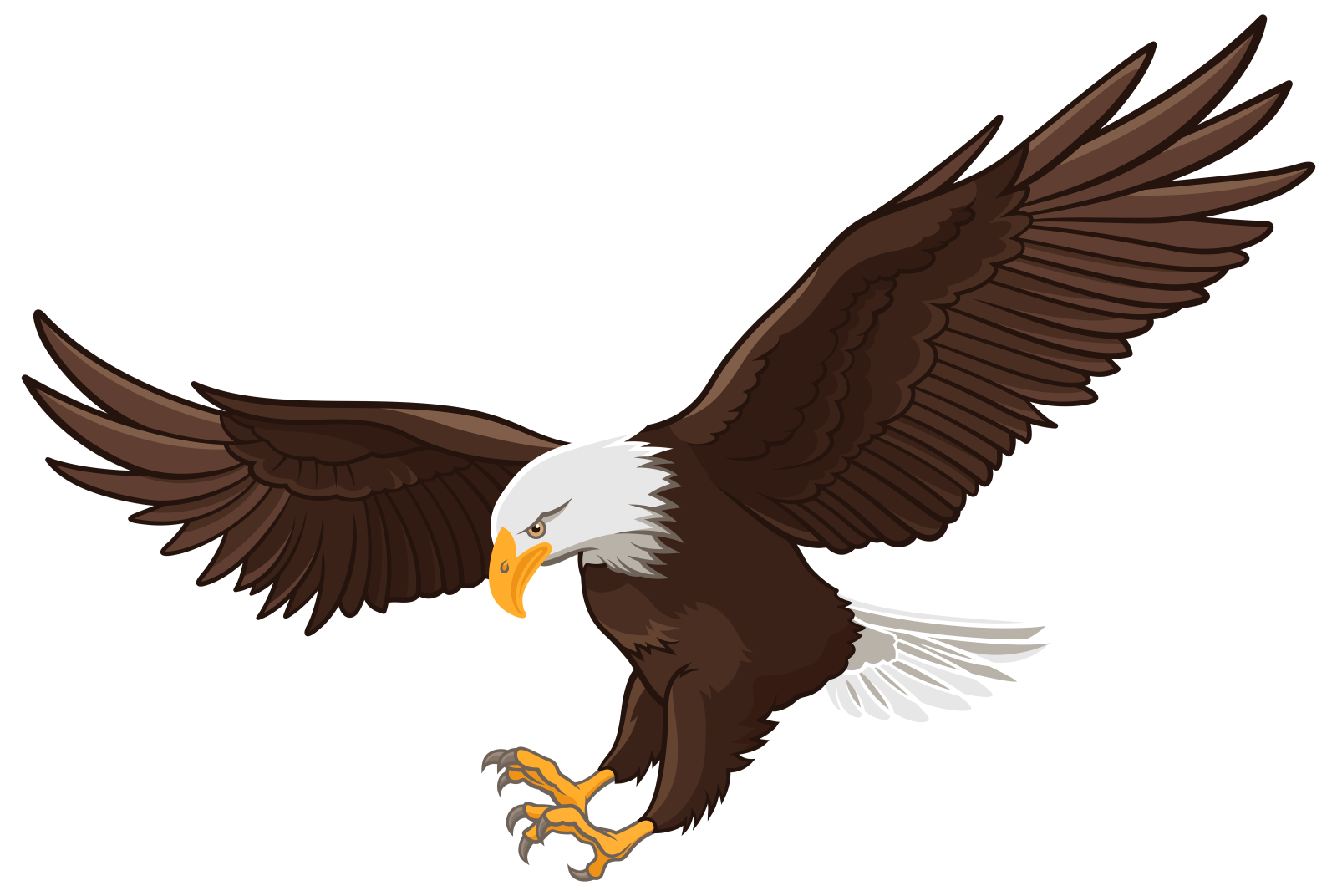 an eagle flying with its wings spread