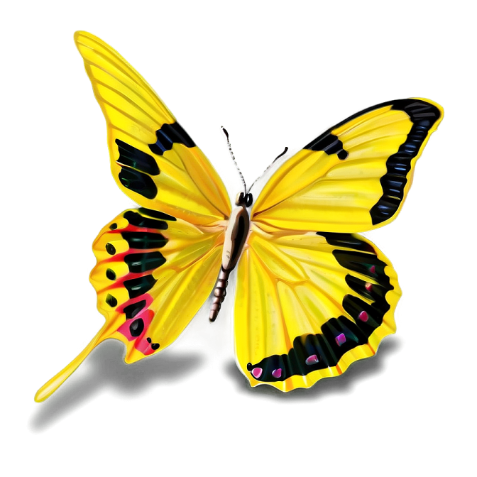 a yellow butterfly on a white background
