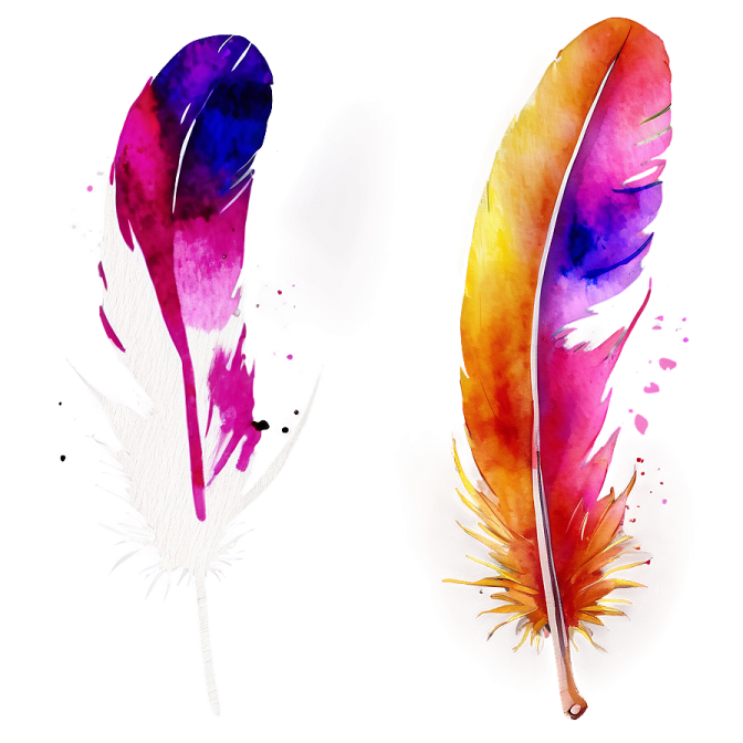 two colorful feathers on a white background