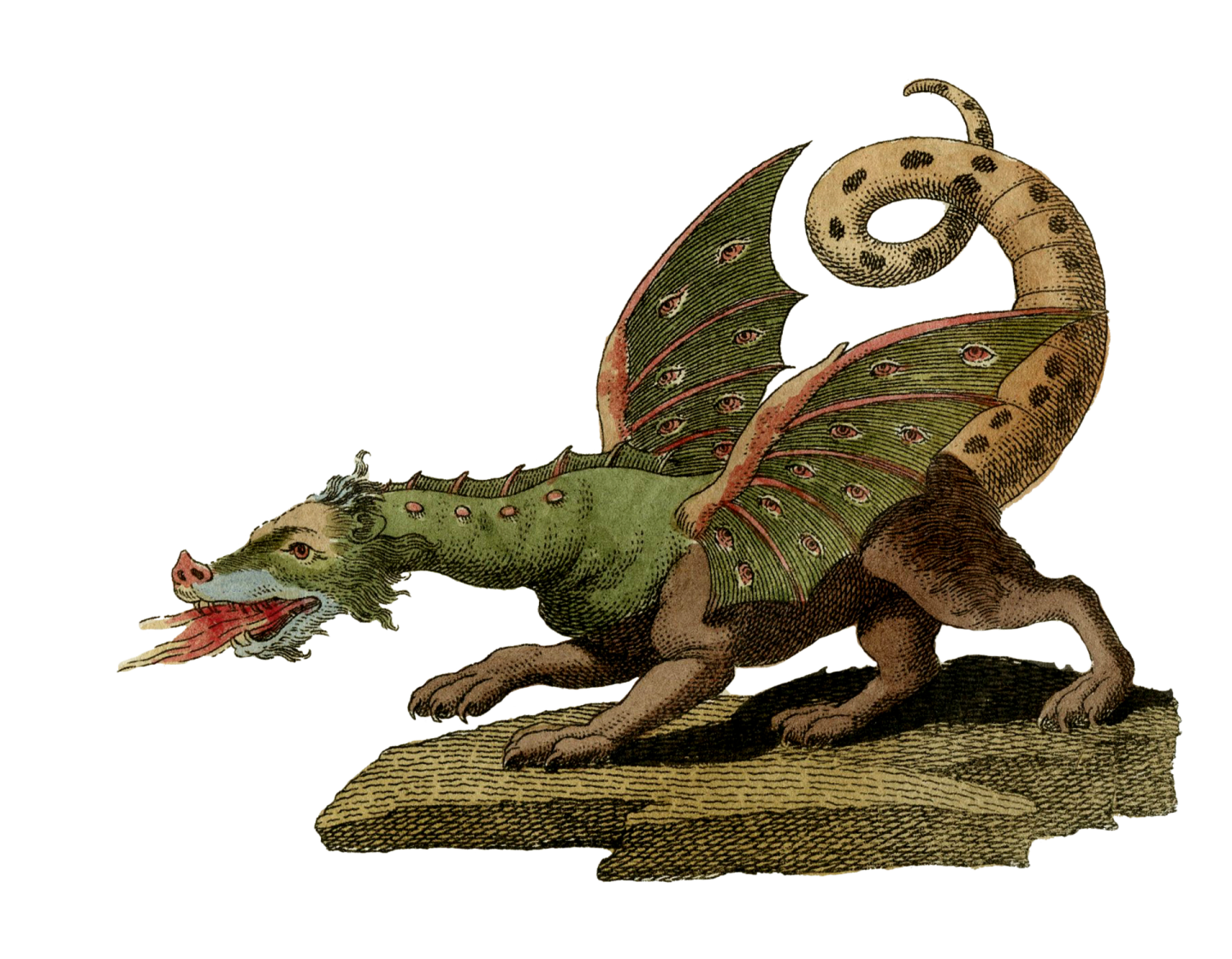 an illustration of a dragon attacking a lizard