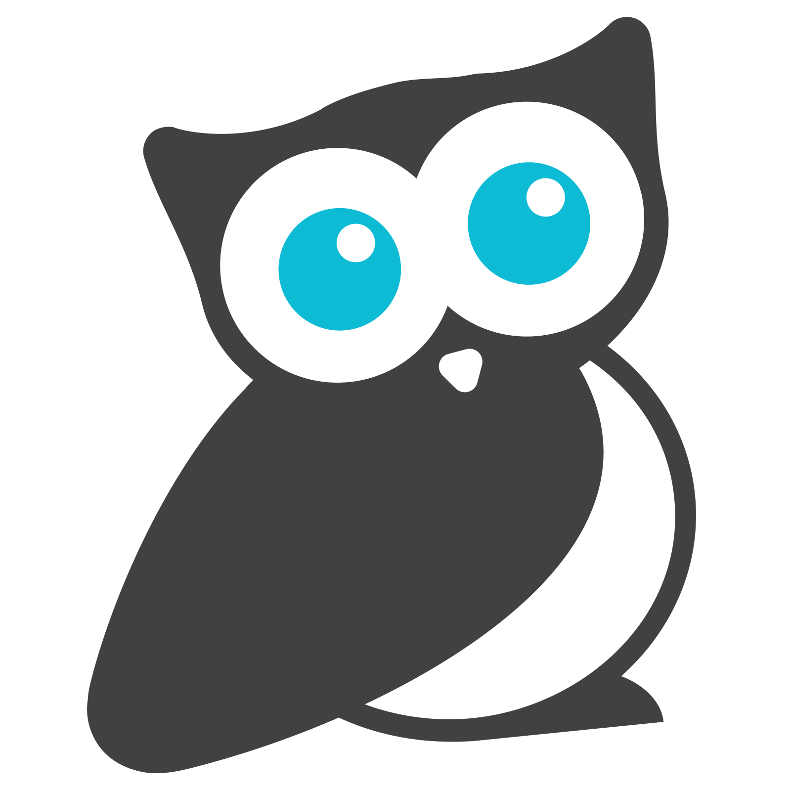 a black and white owl with blue eyes