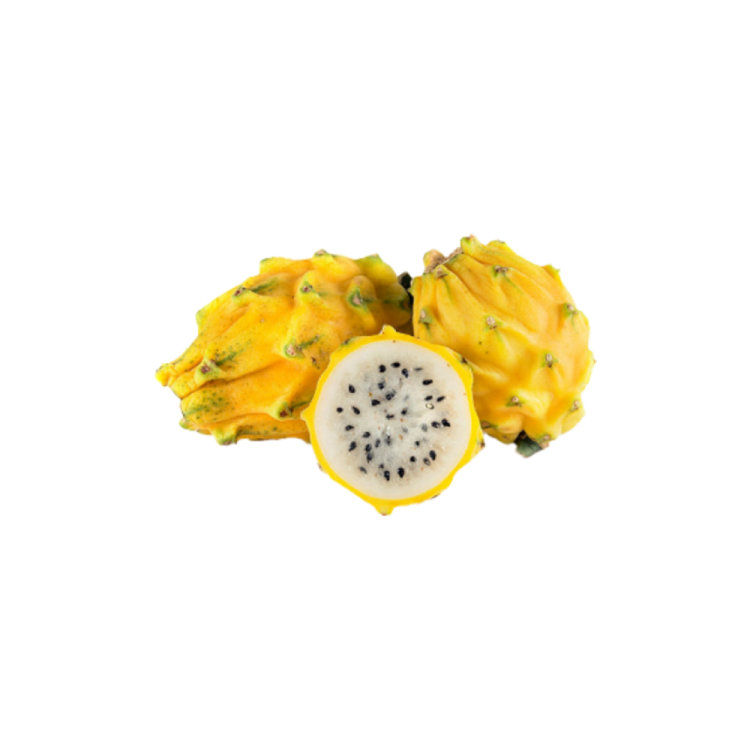 dragon fruit on a white background