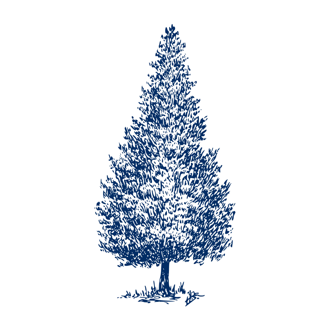 a black and white drawing of a tree