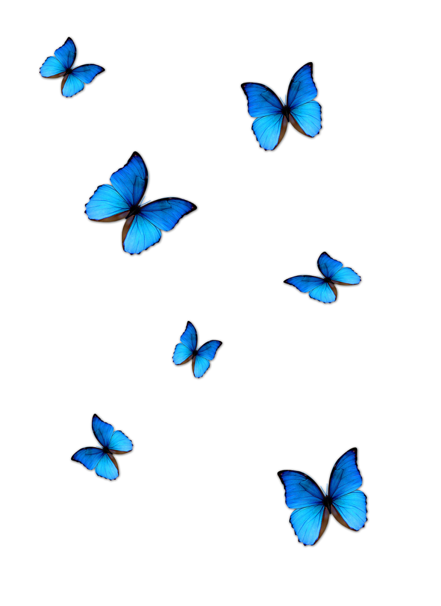 a group of blue butterflies flying in the air