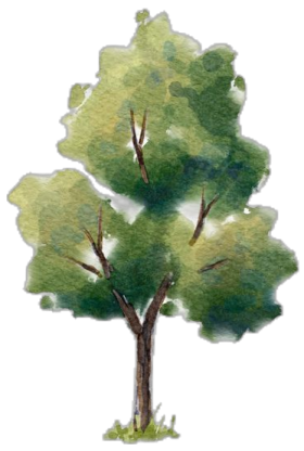 a watercolor painting of a tree