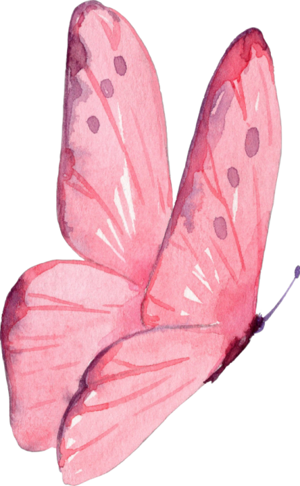a watercolor painting of a pink butterfly