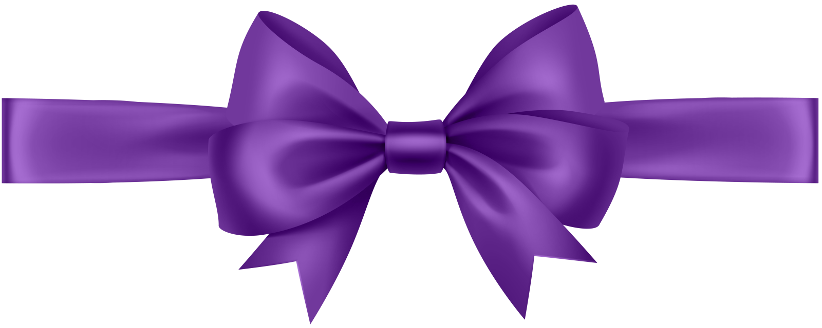 a purple bow on a white background