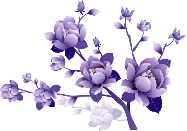 a purple flower on a white background