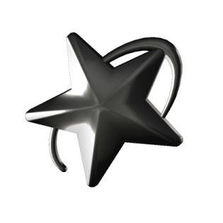 a black and white star on a white background