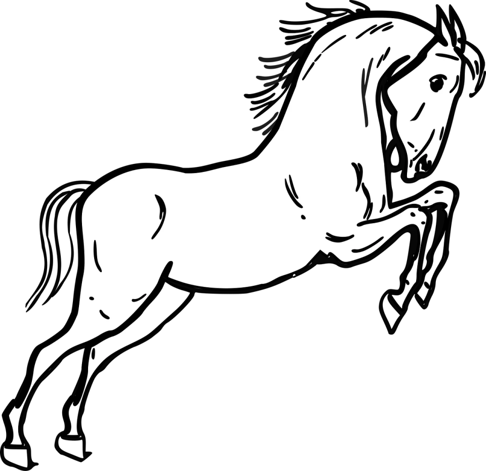 a black and white horse running