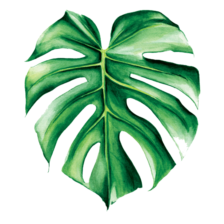 a watercolor painting of a monster leaf