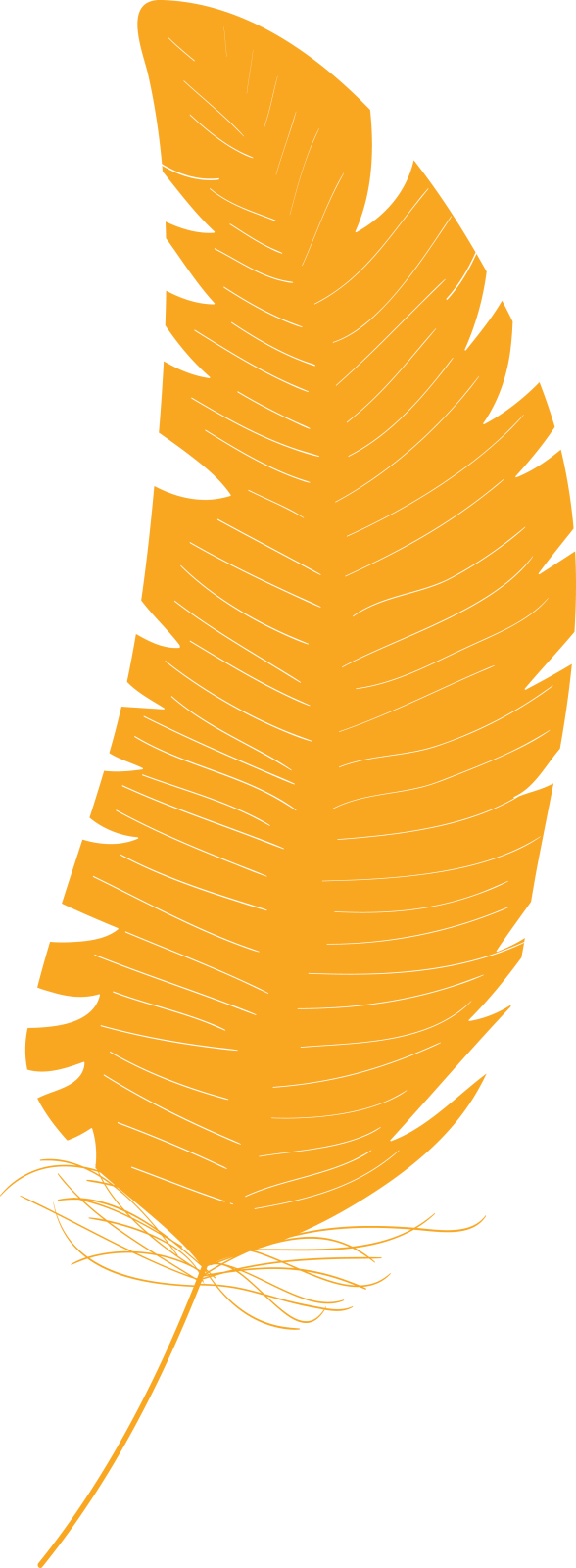 a yellow leaf on a white background