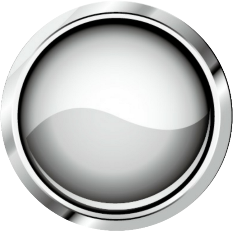 a silver button with a white background