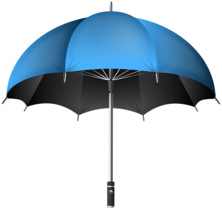 a blue and black umbrella