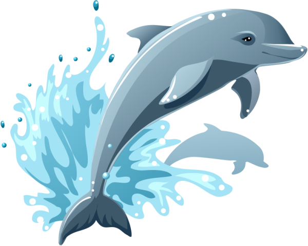 a dolphin jumping out of the water