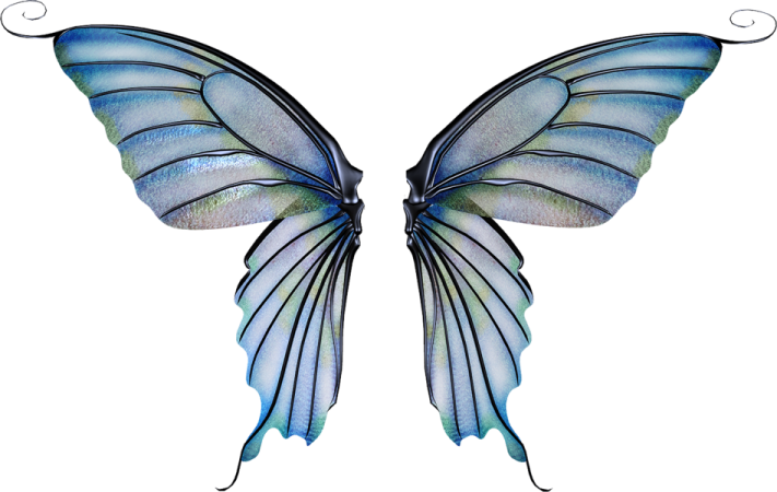 a blue and green butterfly wings