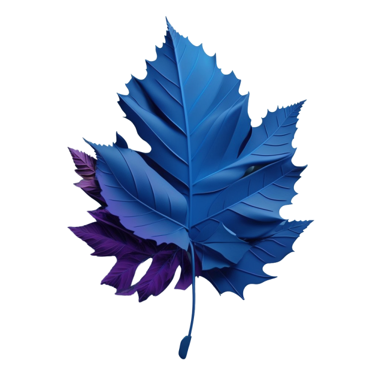 a blue maple leaf on a white background