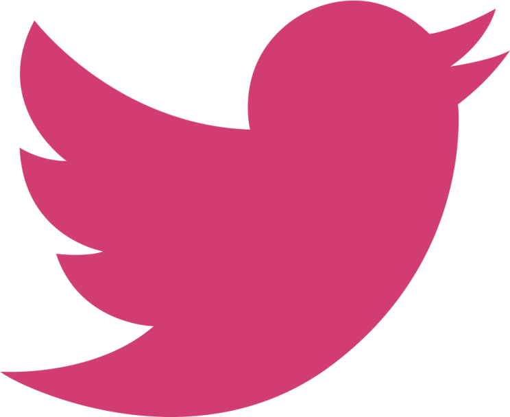 a pink twitter logo