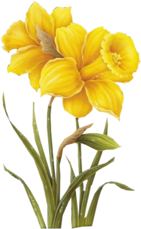 a yellow flower with green leaves