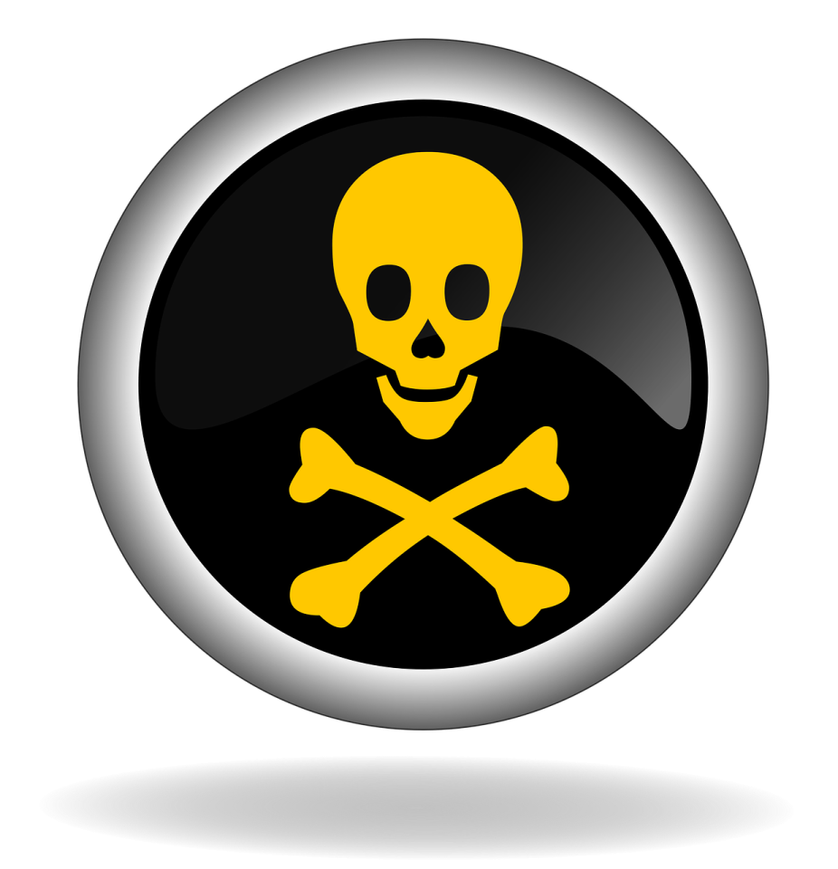 a skull and crossbone icon on a white background