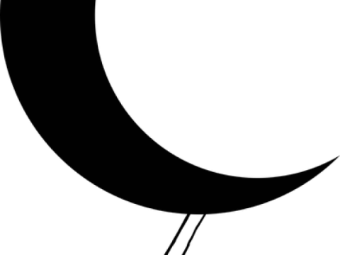 a black and white image of the moon