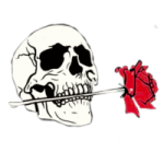 a skull with a rose in its mouth