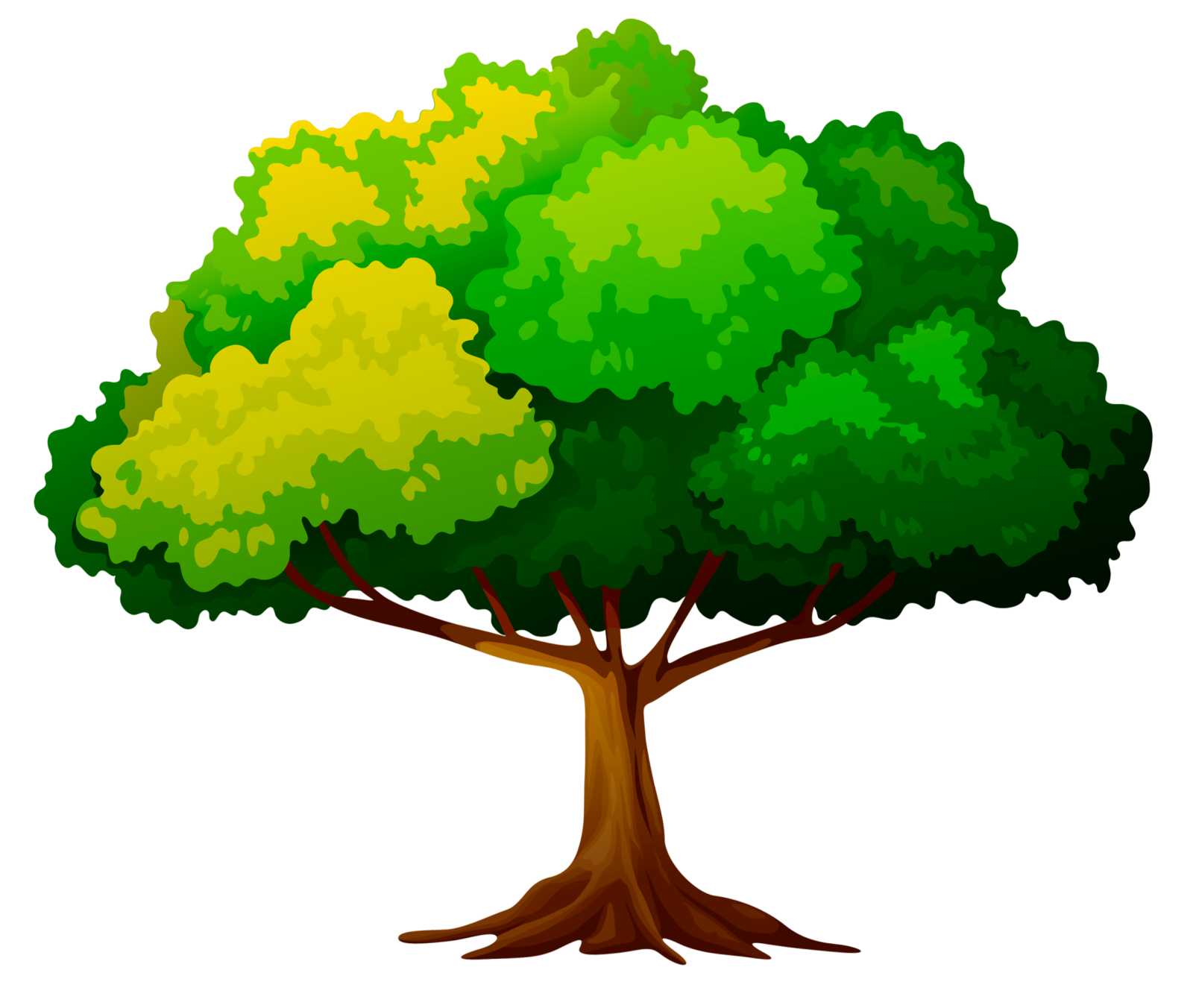 a tree with green leaves on it
