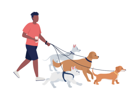 a man walking two dogs on a leash