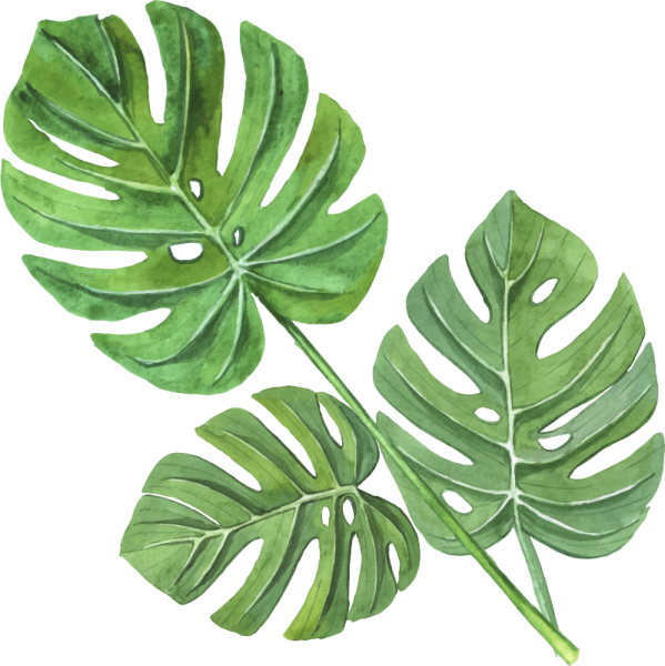 a watercolor painting of monster leaves