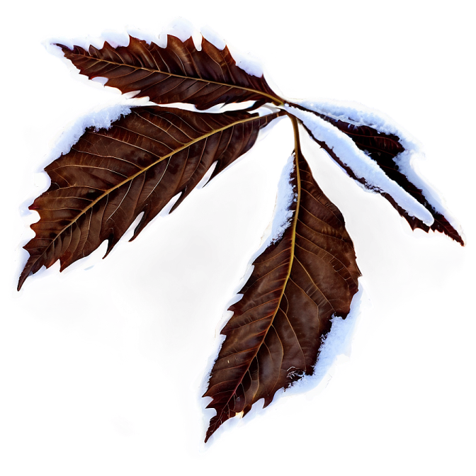a leaf with snow on it's leaves