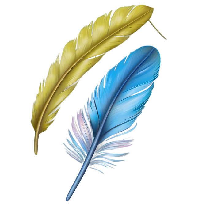 three feathers on a white background
