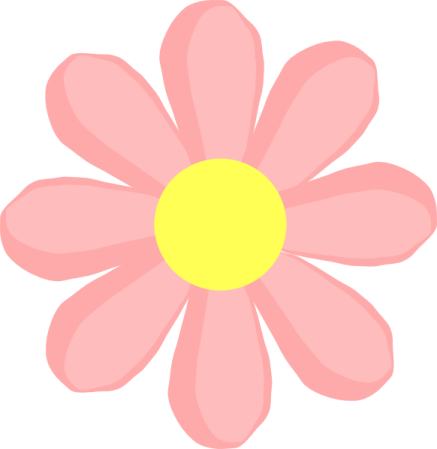 a pink flower with yellow center