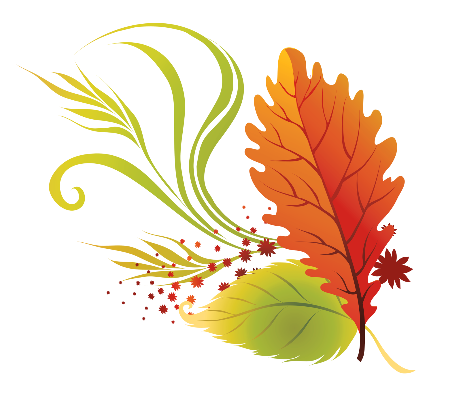 a leaf with autumn leaves on it