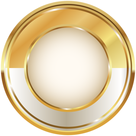 a gold medal with a white background