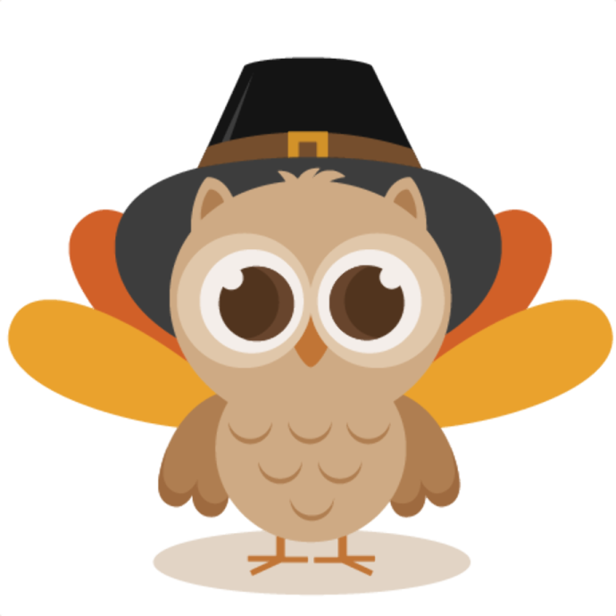 an owl wearing a pilgrim hat