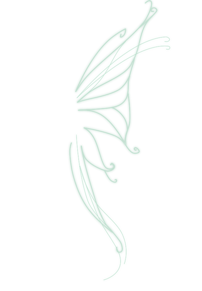 a drawing of a dragon