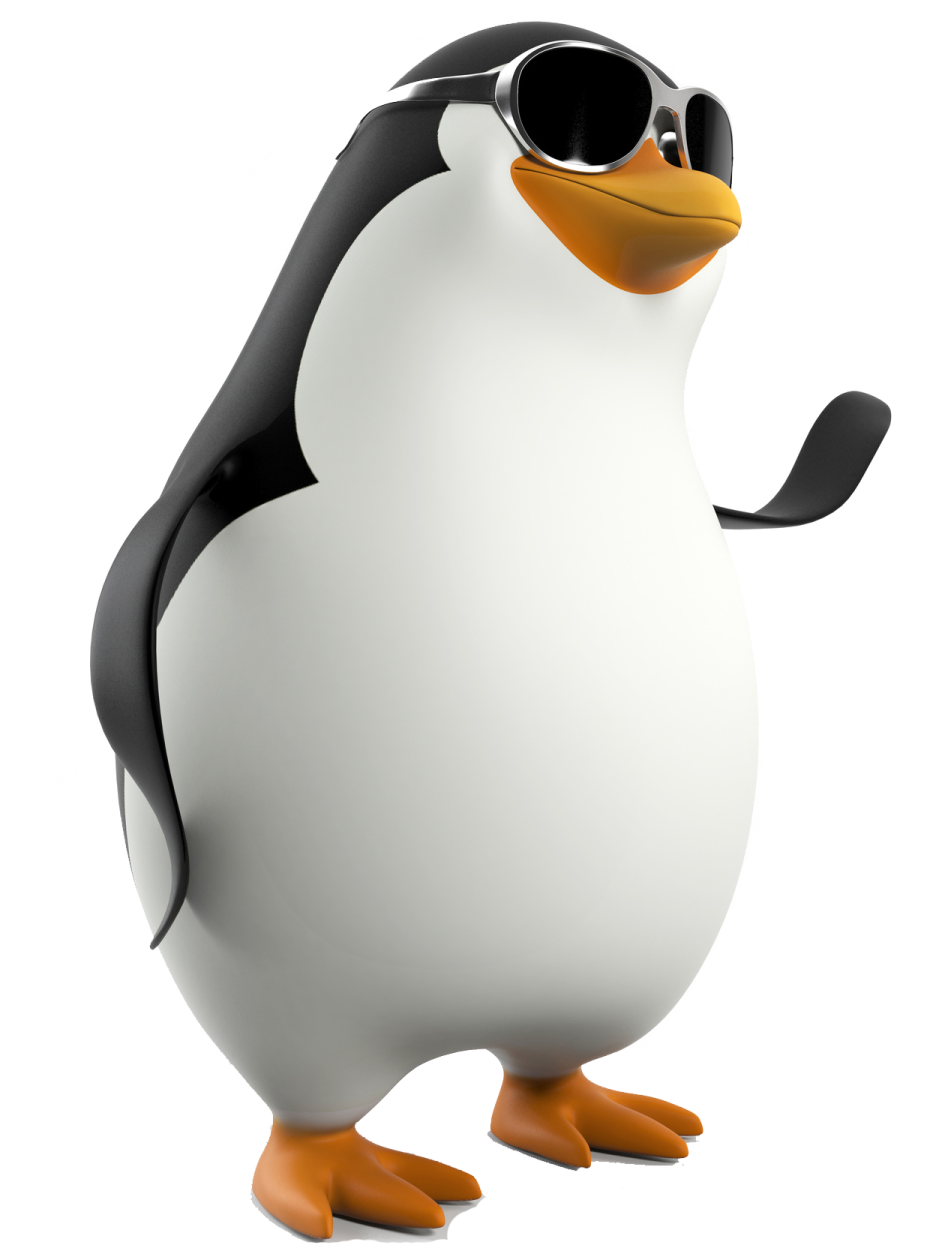 a penguin wearing sunglasses and standing on the ground