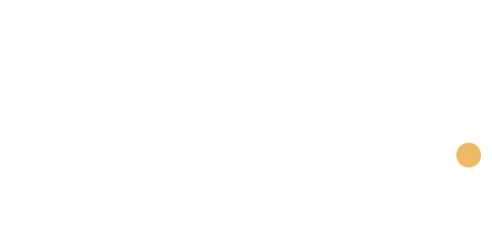 a white background with an orange circle in the middle