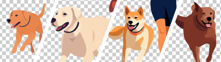 a group of dogs on a transparent background