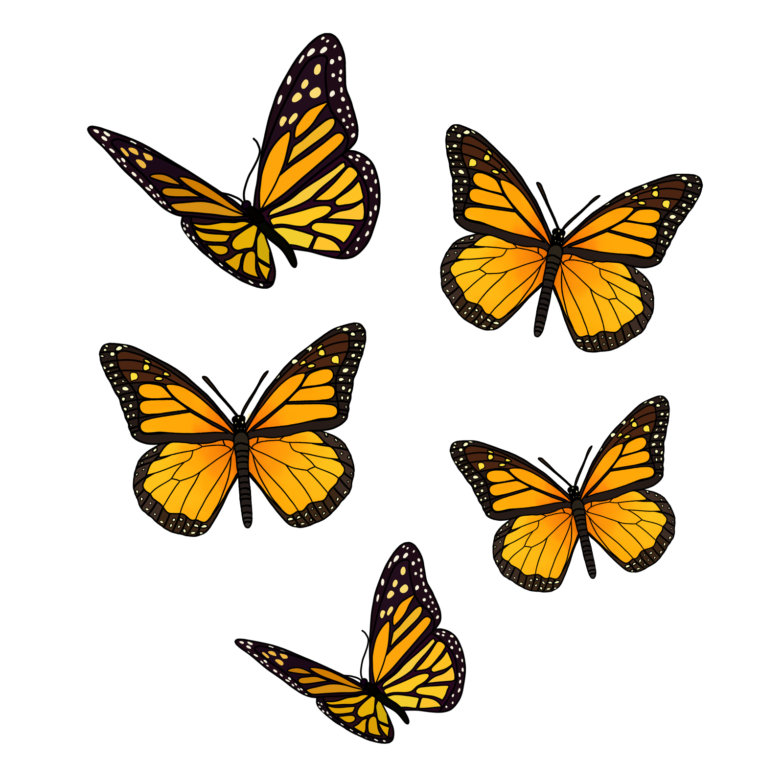 a group of monarch butterflies