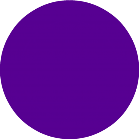 a purple circle on a white background