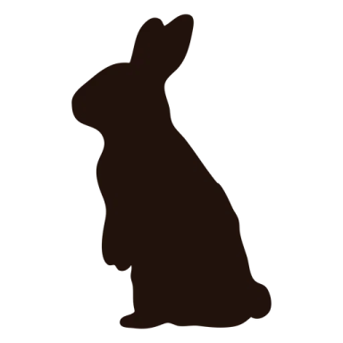 a silhouette of a rabbit