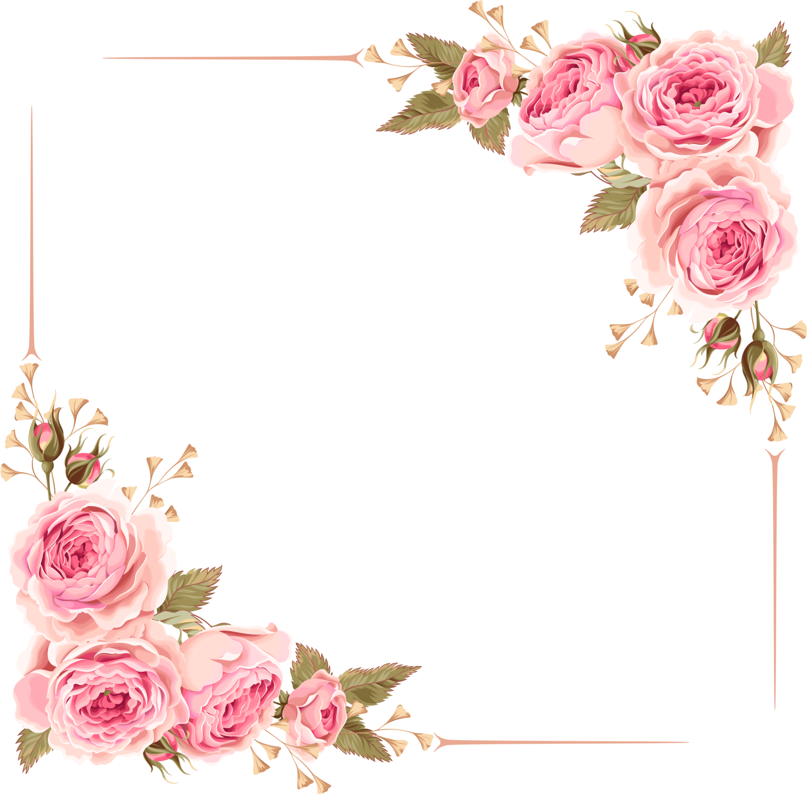 a floral frame with pink roses on a white background