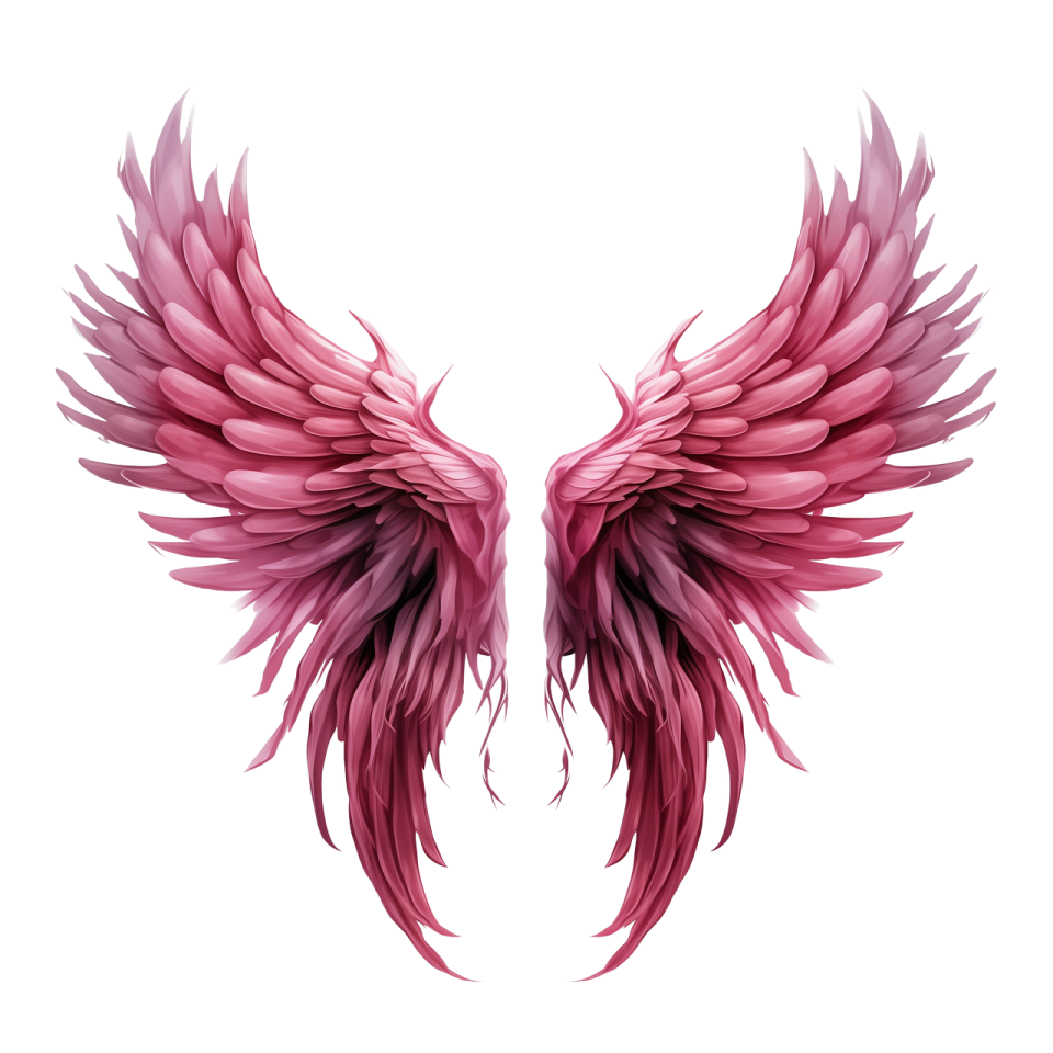 a pink angel wings on a white background
