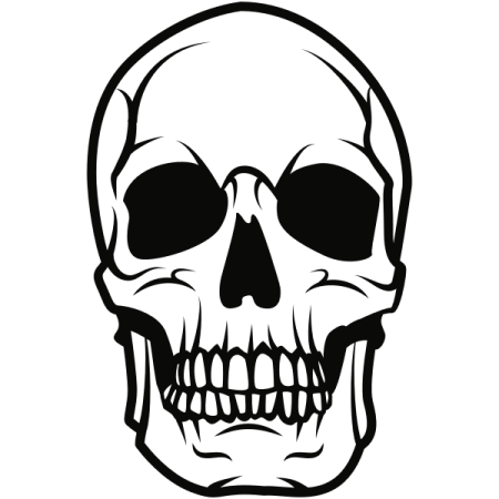 a black and white skull on a white background